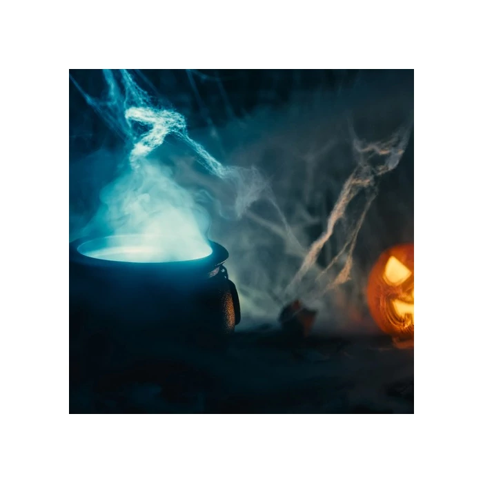 Mesterséges pókháló 2 műanyag pókkal