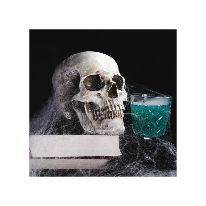 Mesterséges pókháló 2 műanyag pókkal