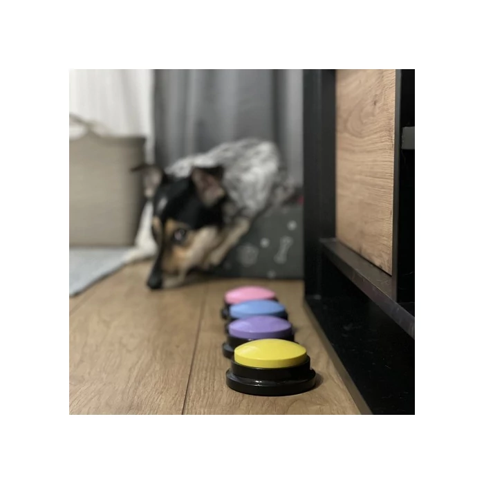 Kutyakiképző gombok