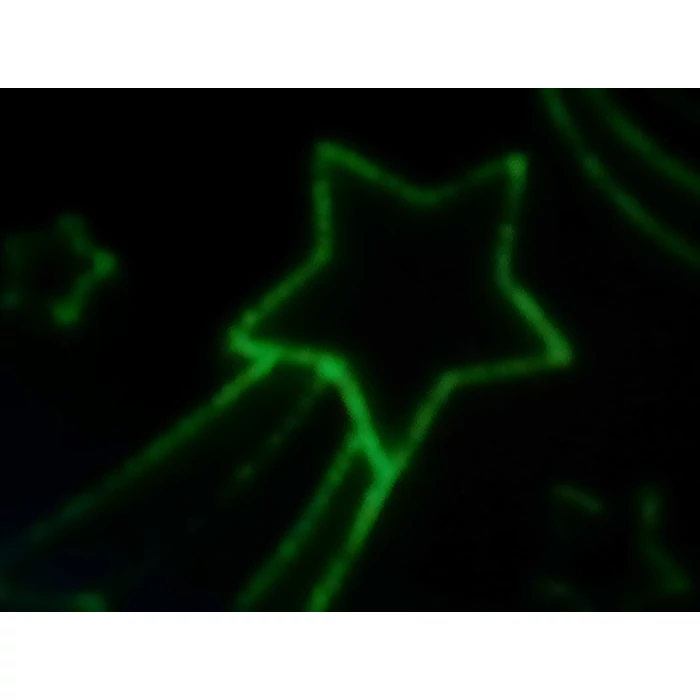 Fluoreszkáló polár gyermek pulóver