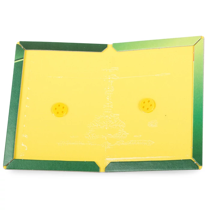 Ragasztócsapda egerek ellen 24cm