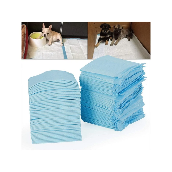 Szobatisztasági szőnyeg kutyáknak 60x60 - 40db