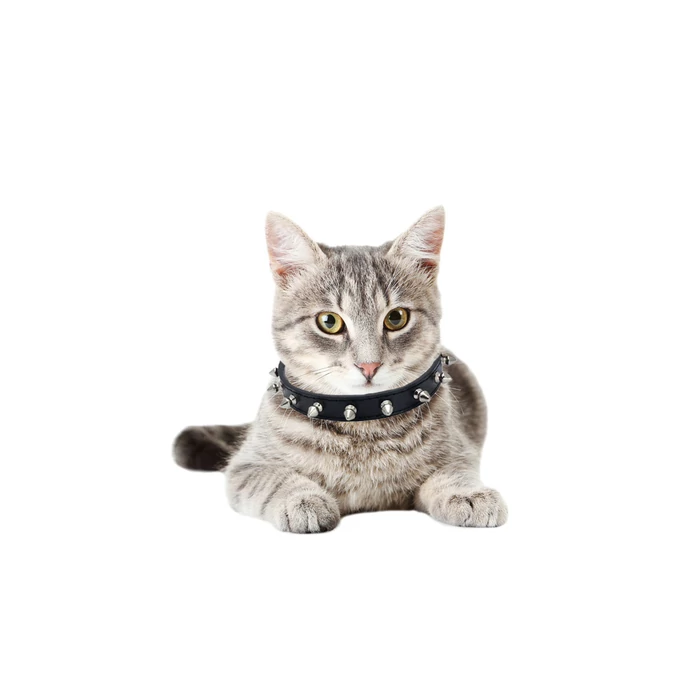 Kutya nyakörv tűskékkel, eco-bőr, M méret