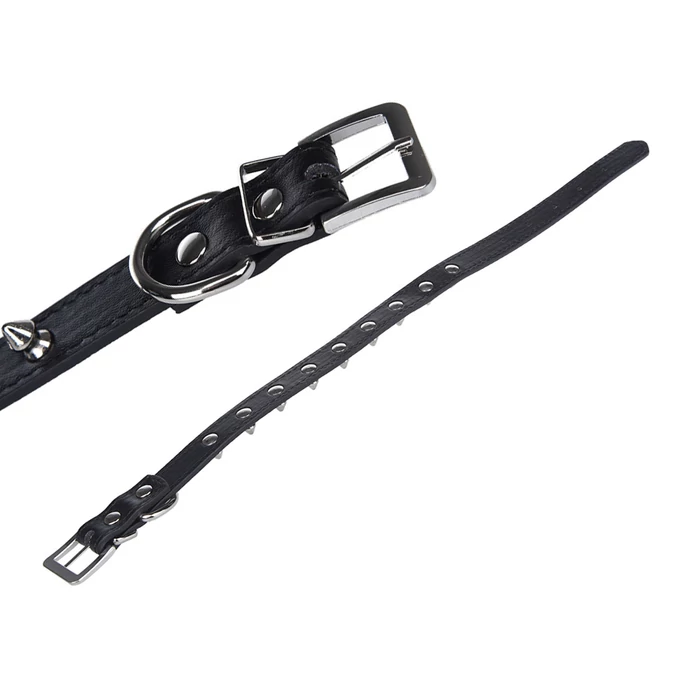 Kutya nyakörv tűskékkel, eco-bőr, M méret