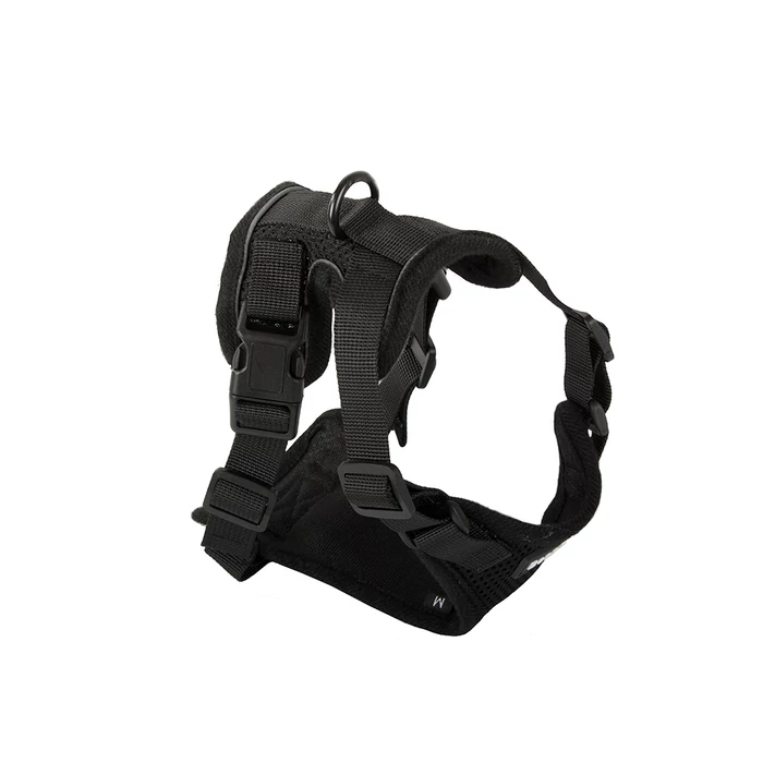 Hám kisméretű kutyáknak