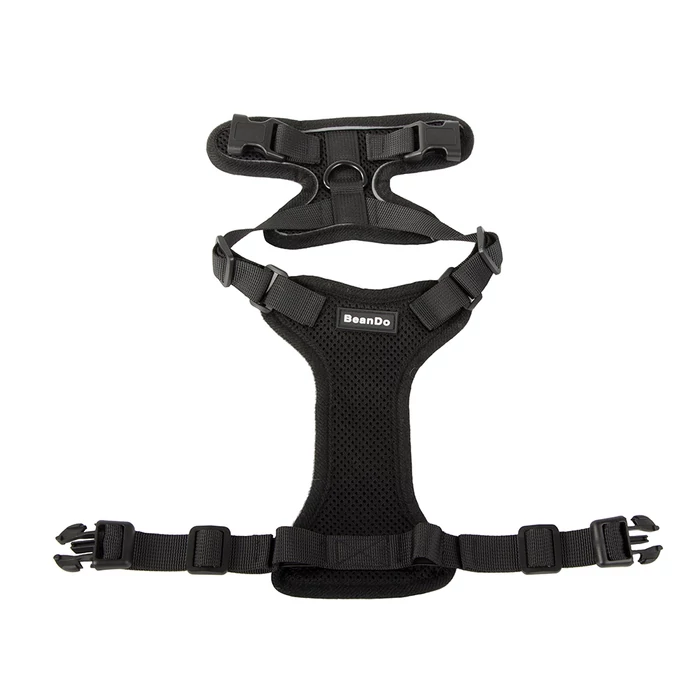 Hám kisméretű kutyáknak