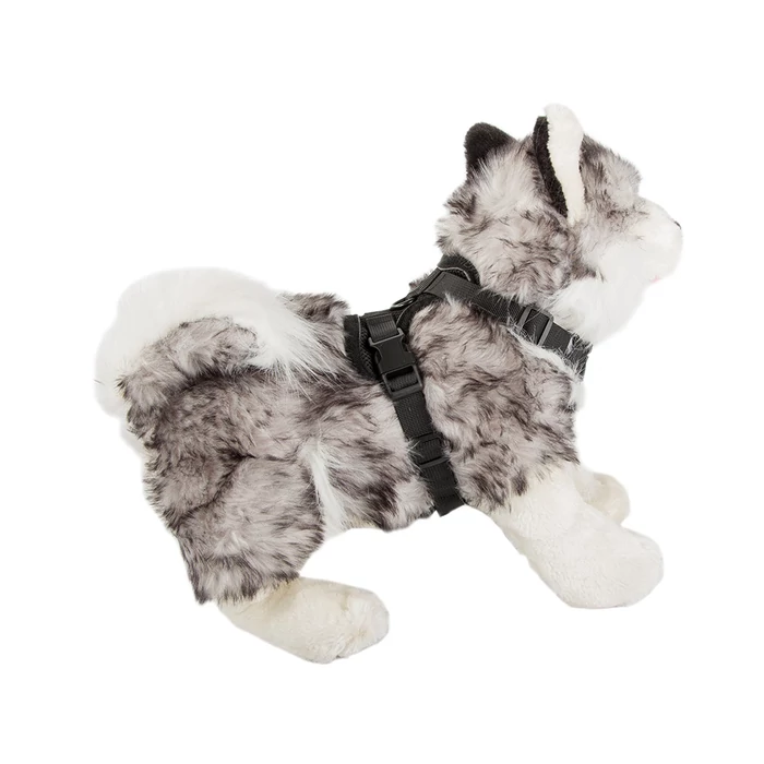 Hám kisméretű kutyáknak