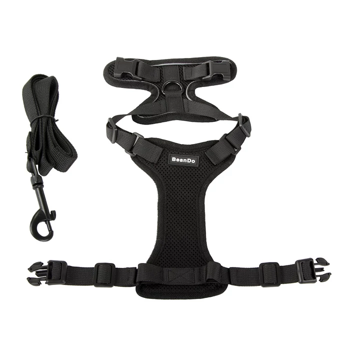 Hám kisméretű kutyáknak