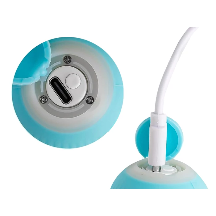 Mozgó labda kutyáknak és macskáknak távirányítóval