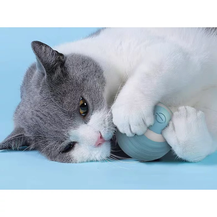 Mozgó labda kutyáknak és macskáknak távirányítóval